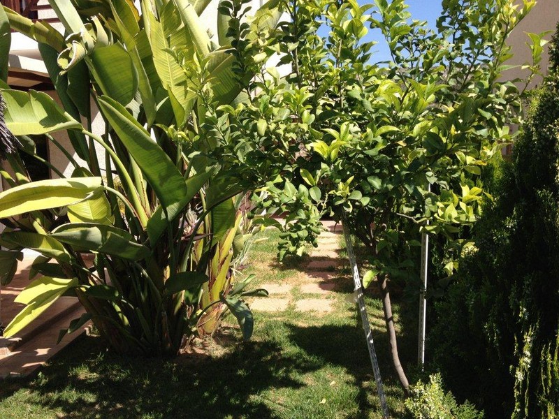 2 FL HOUSE MOUTAGIAKA