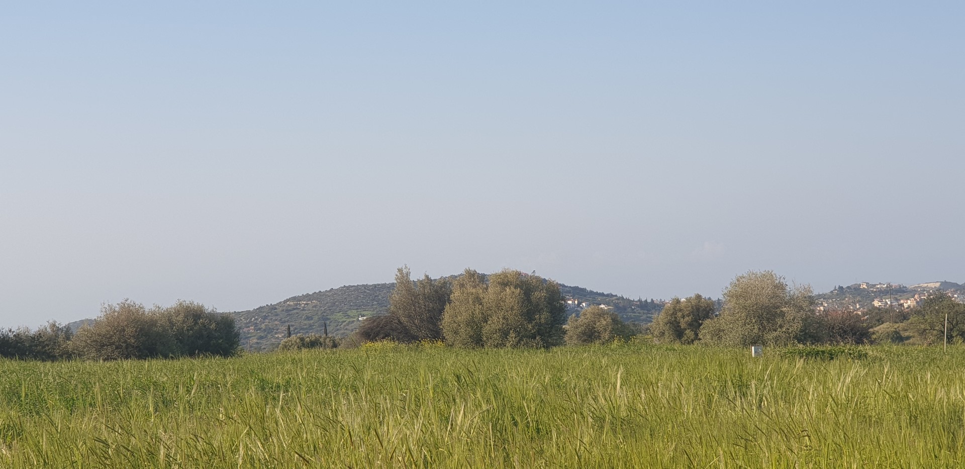 Agriculture field at Parekklishia