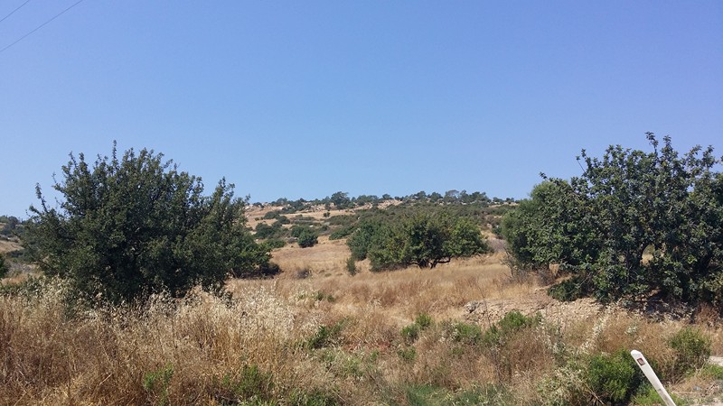 FIELD ON PAREKKLISHIA