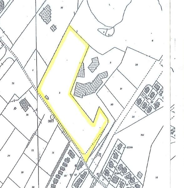 FIELD ALMOST ON THE COAST