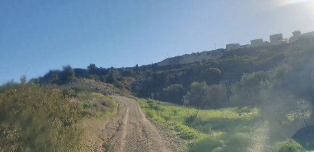 Field